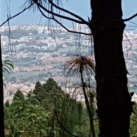 Finca La Casita La Orotava Dış mekan fotoğraf