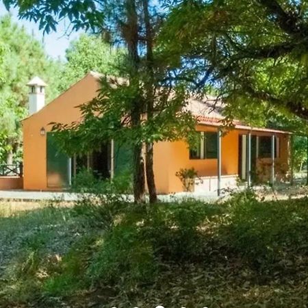 Finca La Casita La Orotava Dış mekan fotoğraf