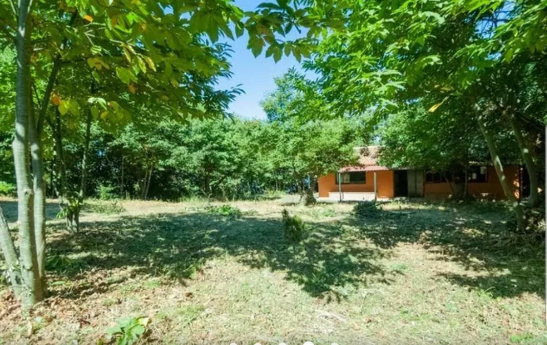 Finca La Casita La Orotava Dış mekan fotoğraf