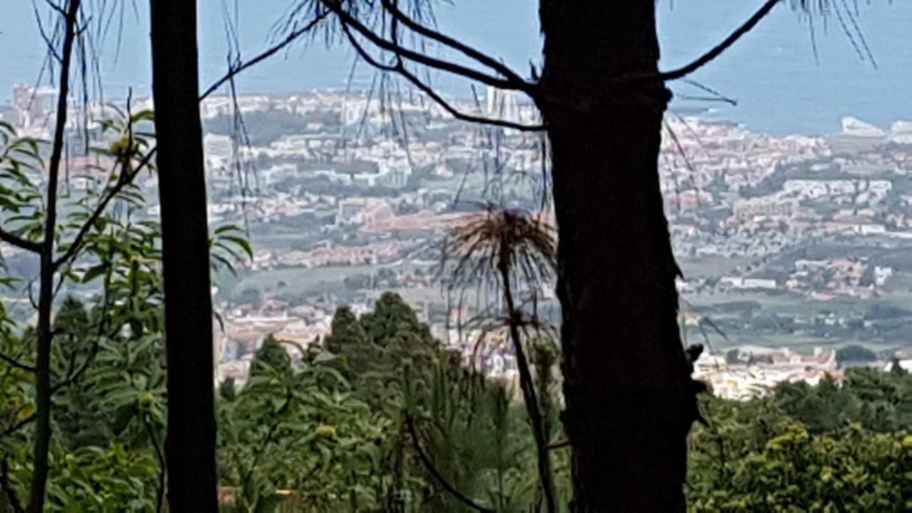 Finca La Casita La Orotava Dış mekan fotoğraf