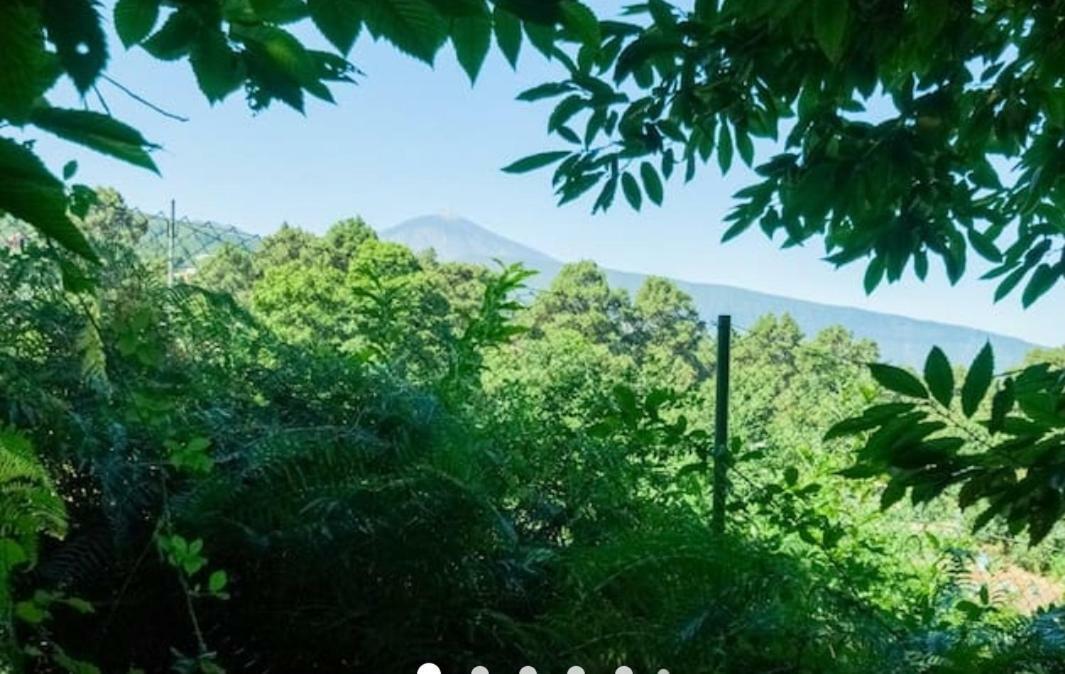 Finca La Casita La Orotava Dış mekan fotoğraf