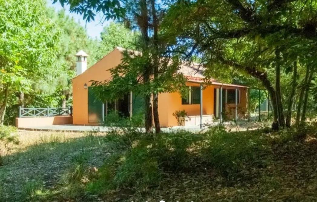 Finca La Casita La Orotava Dış mekan fotoğraf